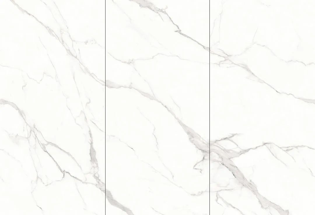 【新品】奢華定制，1600x3200mm成就大宅風范！(圖24)