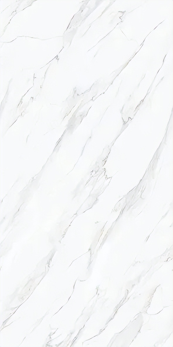 【新品】奢華定制，1600x3200mm成就大宅風范！(圖26)